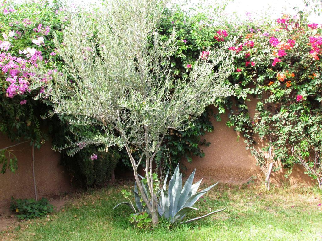 מלון טרודאנט Le Jardin Des Epices מראה חיצוני תמונה