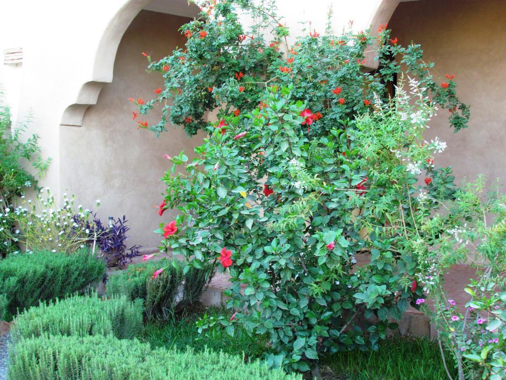 מלון טרודאנט Le Jardin Des Epices מראה חיצוני תמונה