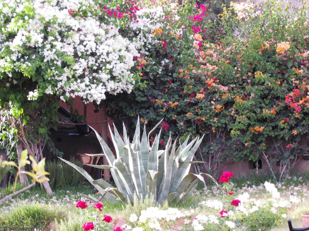 מלון טרודאנט Le Jardin Des Epices מראה חיצוני תמונה